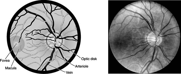 Figure 2-13